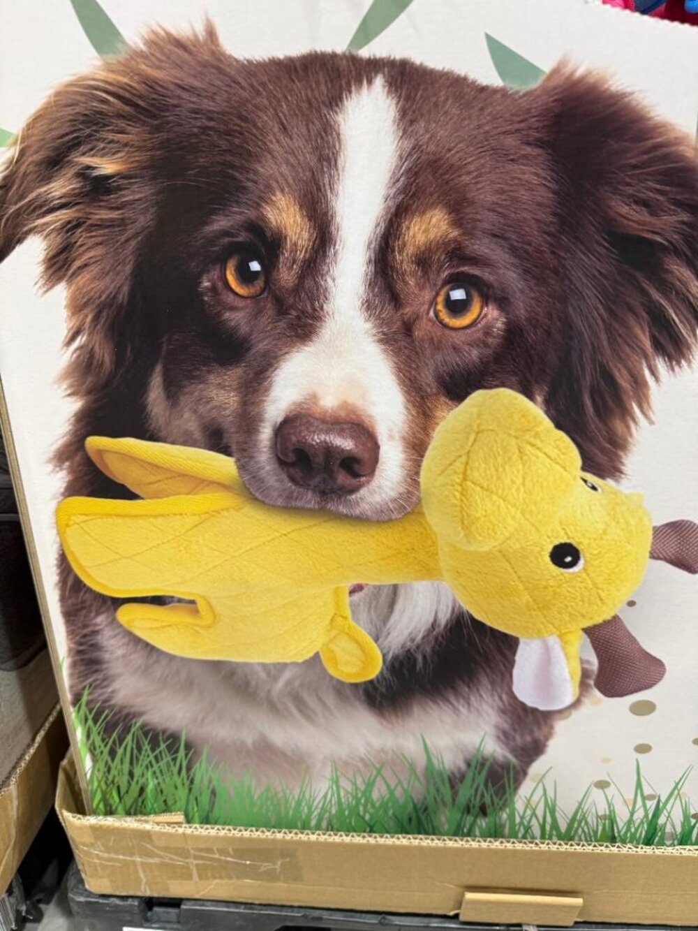New Zeus Giraffe Safari XXL Tough Dog Toy